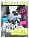 Panorama Silesia